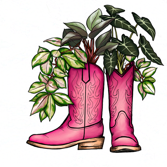 House Plant Cowboy